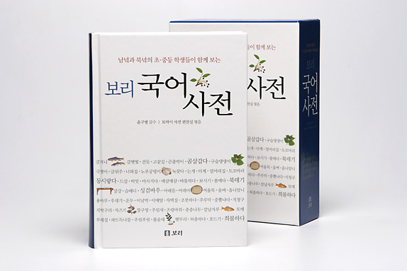 iandesign 이안디자인 :: Book Design | 보리 국어사전